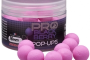 POP UP Pro Blackberry 50g 16mm